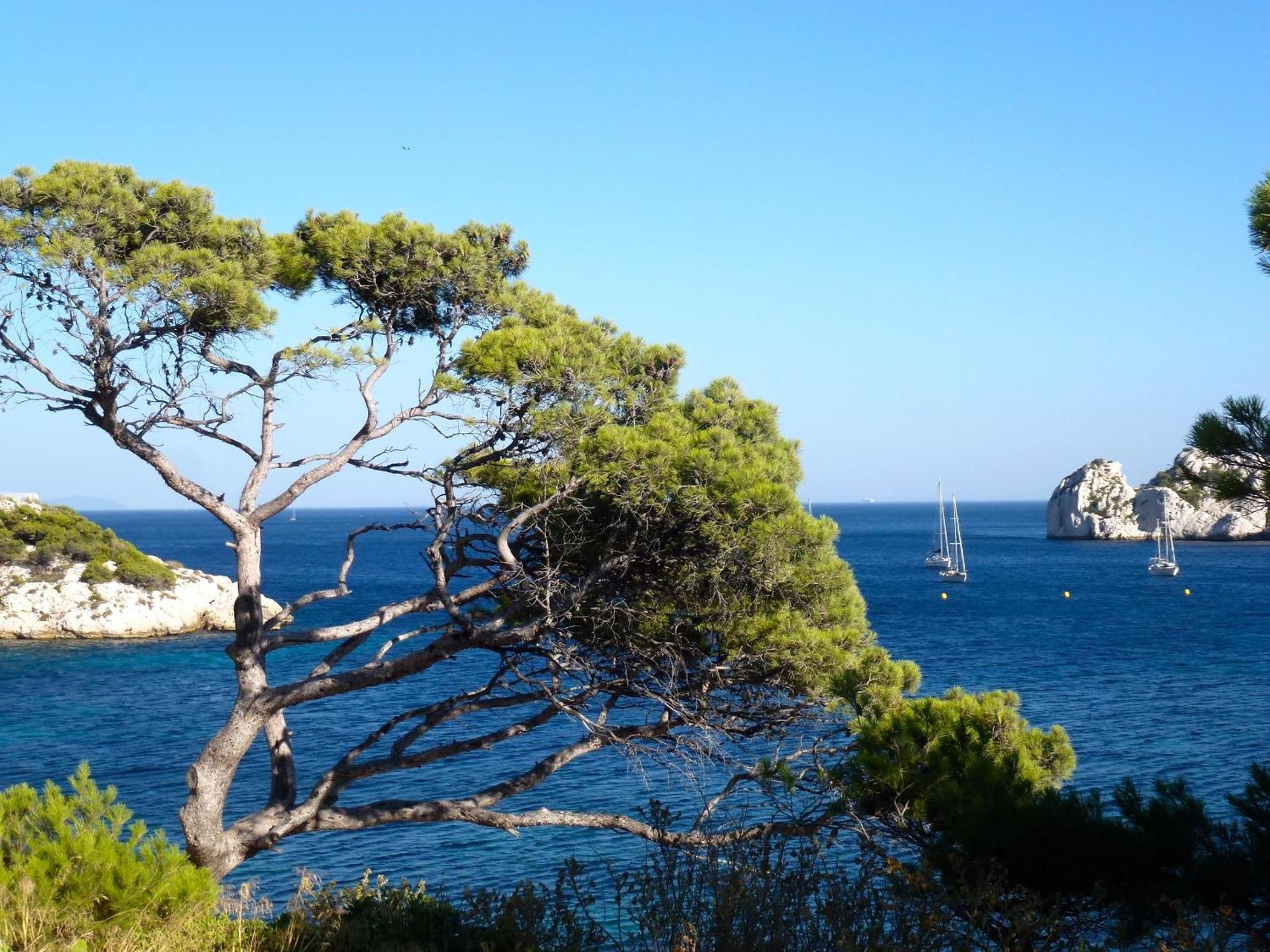 App-Arte Marseille Vieux-Port Daire Dış mekan fotoğraf